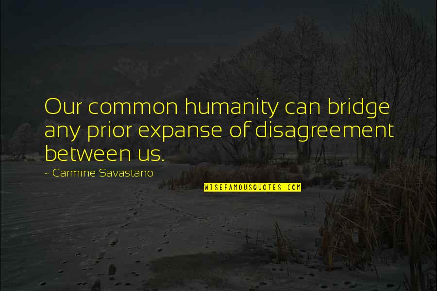 Teneil Detling Quotes By Carmine Savastano: Our common humanity can bridge any prior expanse Teneil Detling Quotes By Carmine Savastano: Our common humanity can bridge any prior expanse