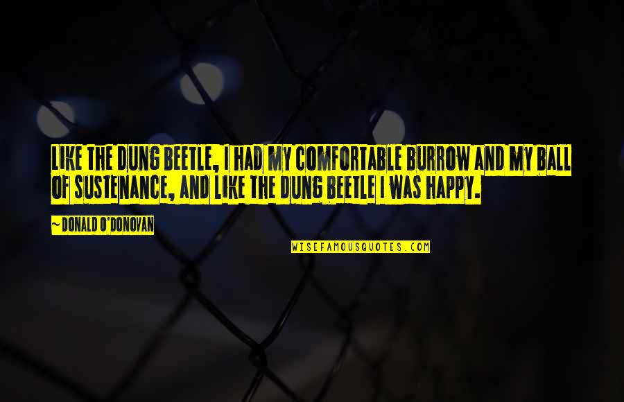 Tenentev Quotes By Donald O'Donovan: Like the dung beetle, I had my comfortable Tenentev Quotes By Donald O'Donovan: Like the dung beetle, I had my comfortable
