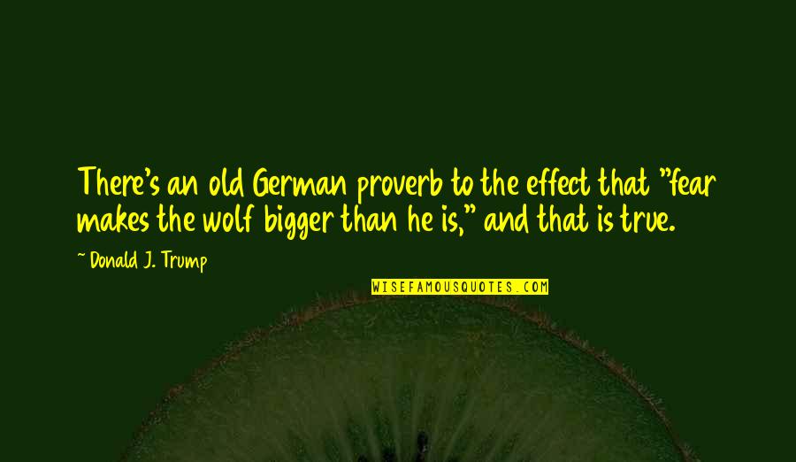 Tenham Vergonha Quotes By Donald J. Trump: There's an old German proverb to the effect