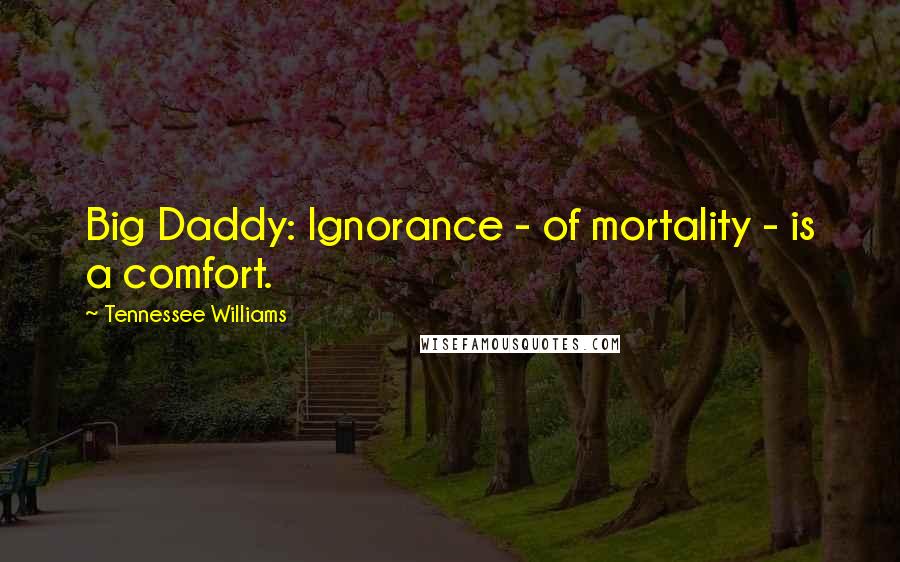 Tennessee Williams quotes: Big Daddy: Ignorance - of mortality - is a comfort.