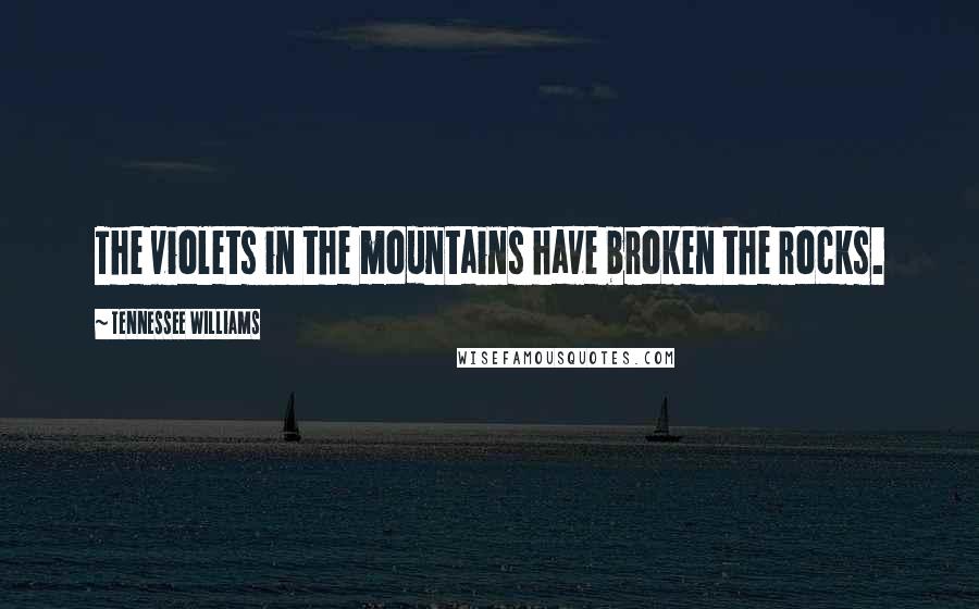 Tennessee Williams quotes: The violets in the mountains have broken the rocks.