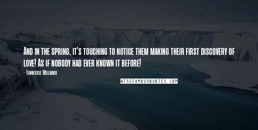 Tennessee Williams quotes: And in the spring, it's touching to notice them making their first discovery of love! As if nobody had ever known it before!