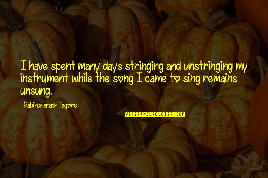 Tennis Sweatshirt Quotes By Rabindranath Tagore: I have spent many days stringing and unstringing