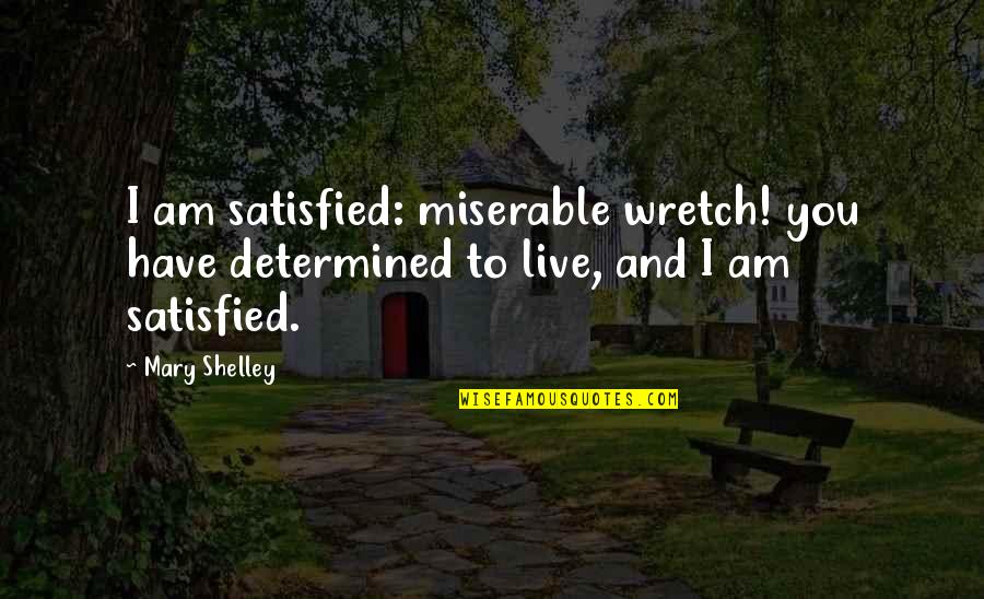 Tension Releasing Quotes By Mary Shelley: I am satisfied: miserable wretch! you have determined