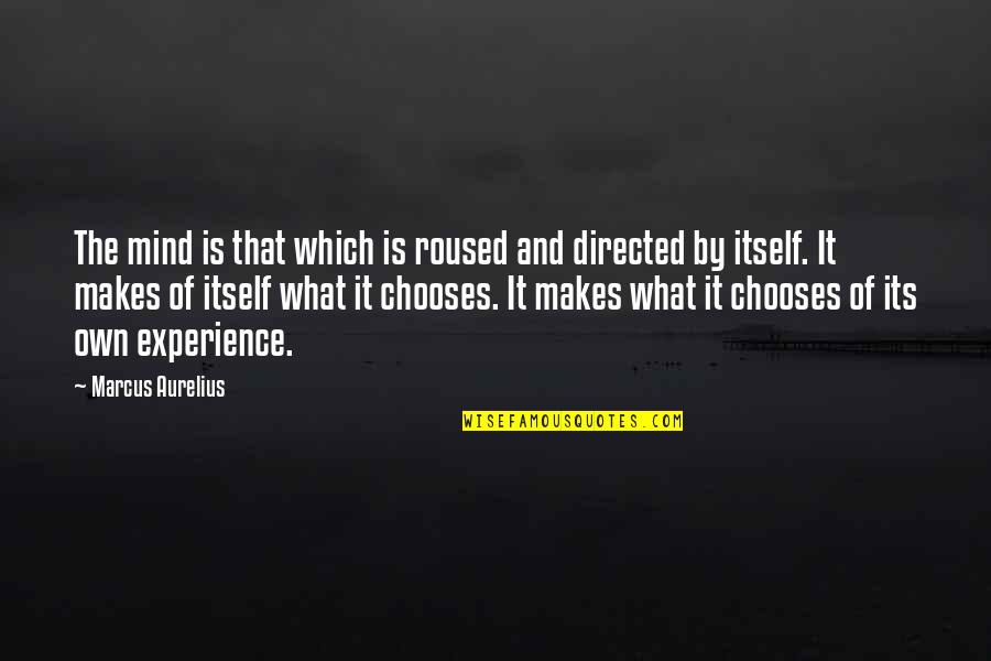 Tentaculata Quotes By Marcus Aurelius: The mind is that which is roused and