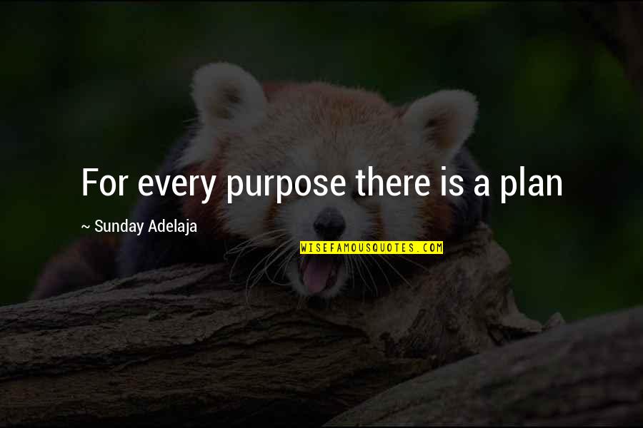Tenterfield Speech Quotes By Sunday Adelaja: For every purpose there is a plan