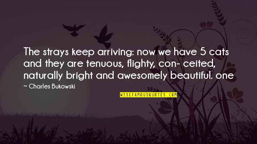Tenuous Quotes By Charles Bukowski: The strays keep arriving: now we have 5 Tenuous Quotes By Charles Bukowski: The strays keep arriving: now we have 5