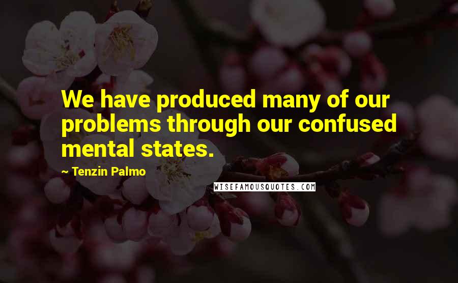 Tenzin Palmo quotes: We have produced many of our problems through our confused mental states.