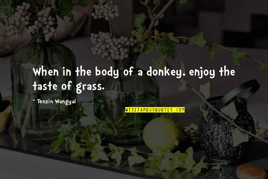Tenzin Quotes By Tenzin Wangyal: When in the body of a donkey, enjoy