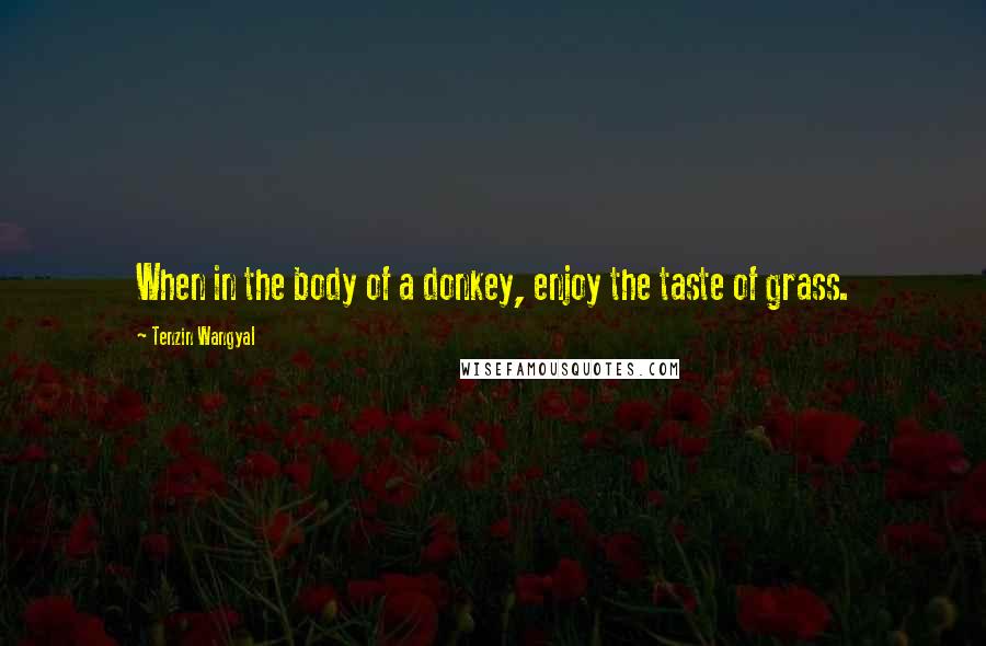 Tenzin Wangyal quotes: When in the body of a donkey, enjoy the taste of grass.