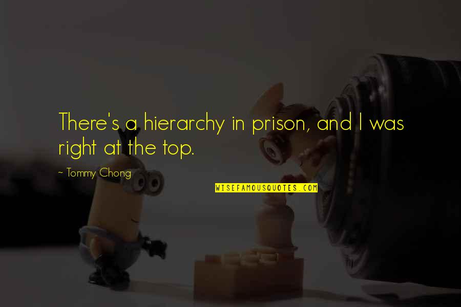 Tenzone Quotes By Tommy Chong: There's a hierarchy in prison, and I was