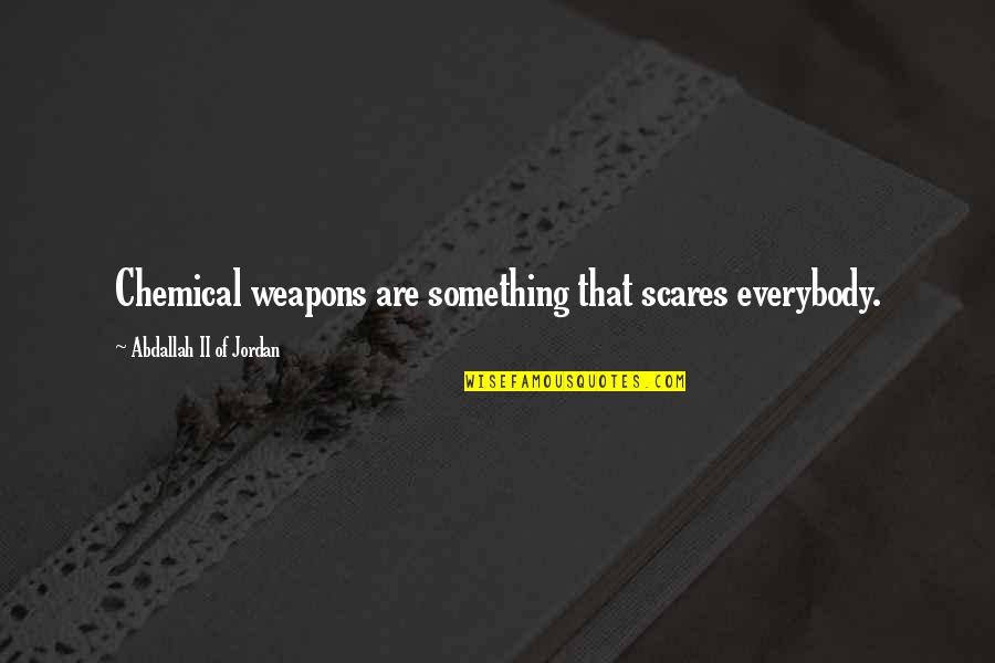 Teodoro Agoncillo Quotes By Abdallah II Of Jordan: Chemical weapons are something that scares everybody.