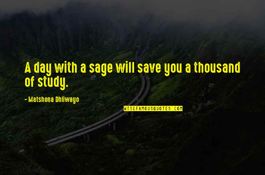 Teotihuacan Pyramids Quotes By Matshona Dhliwayo: A day with a sage will save you