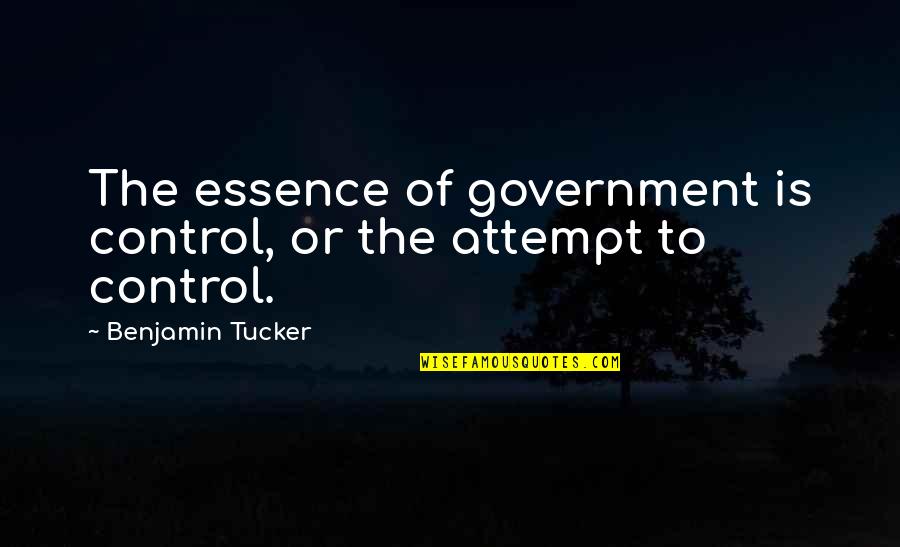 Tepedeki Ev Quotes By Benjamin Tucker: The essence of government is control, or the