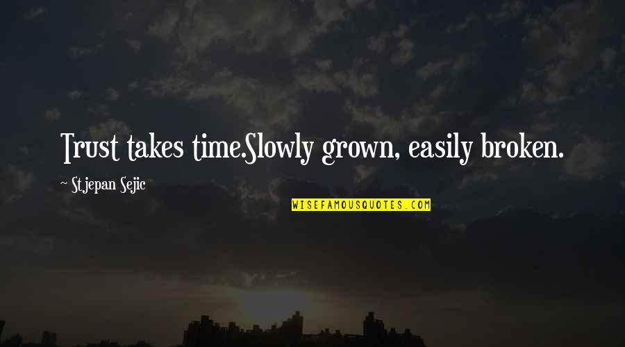 Tera Intezaar Quotes By Stjepan Sejic: Trust takes time.Slowly grown, easily broken.