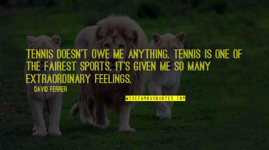 Teranishi Electric Works Quotes By David Ferrer: Tennis doesn't owe me anything. Tennis is one