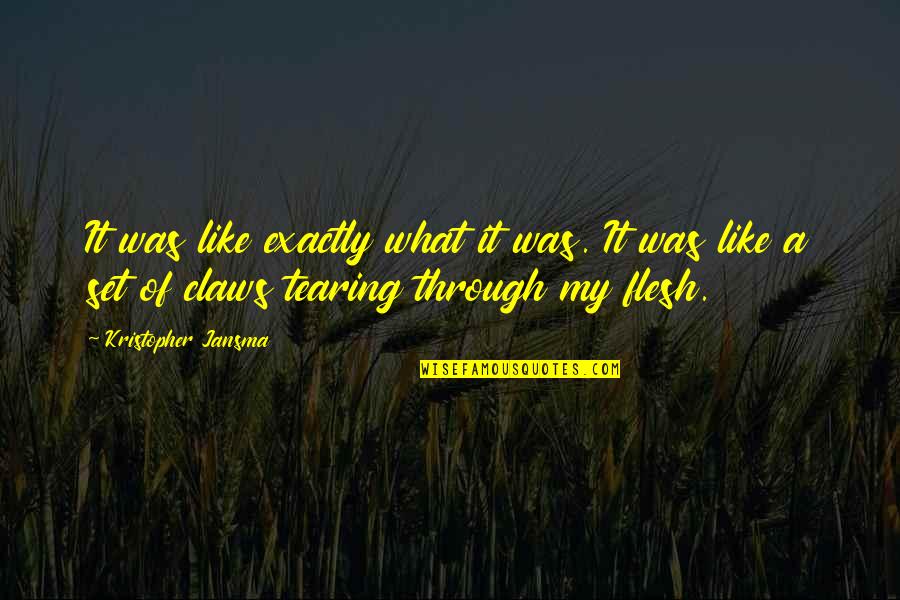 Terbiasa Tanpamu Quotes By Kristopher Jansma: It was like exactly what it was. It Terbiasa Tanpamu Quotes By Kristopher Jansma: It was like exactly what it was. It