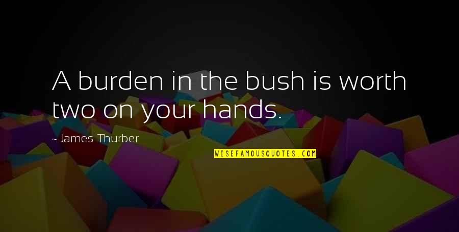 Terces Engelhart Quotes By James Thurber: A burden in the bush is worth two