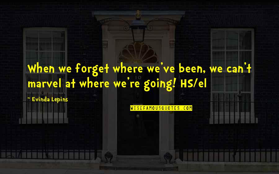 Tercier Motors Quotes By Evinda Lepins: When we forget where we've been, we can't