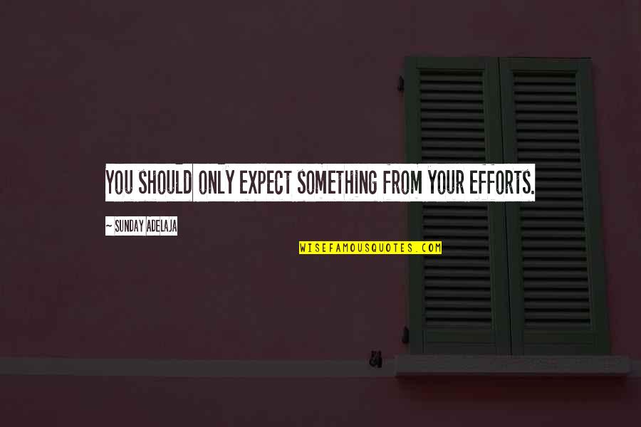 Tereak Cohen Quotes By Sunday Adelaja: You should only expect something from your efforts. Tereak Cohen Quotes By Sunday Adelaja: You should only expect something from your efforts.