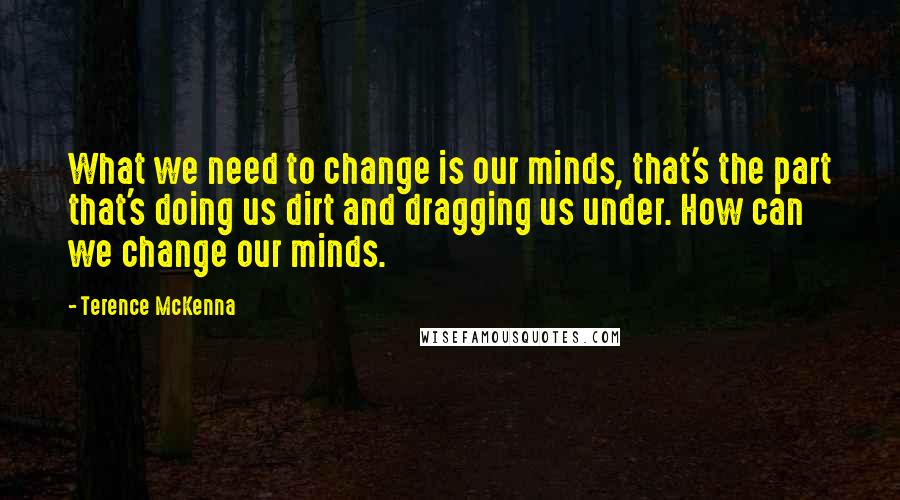 Terence McKenna quotes: What we need to change is our minds, that's the part that's doing us dirt and dragging us under. How can we change our minds.