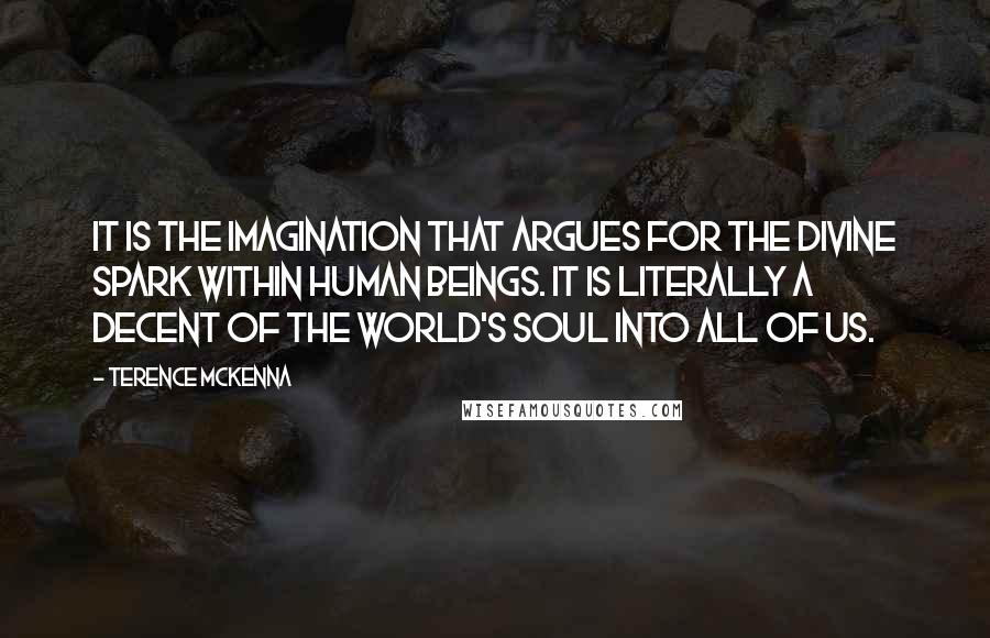 Terence McKenna quotes: It is the imagination that argues for the Divine Spark within human beings. It is literally a decent of the World's Soul into all of us.