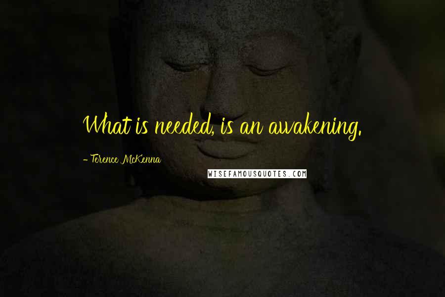 Terence McKenna quotes: What is needed, is an awakening.