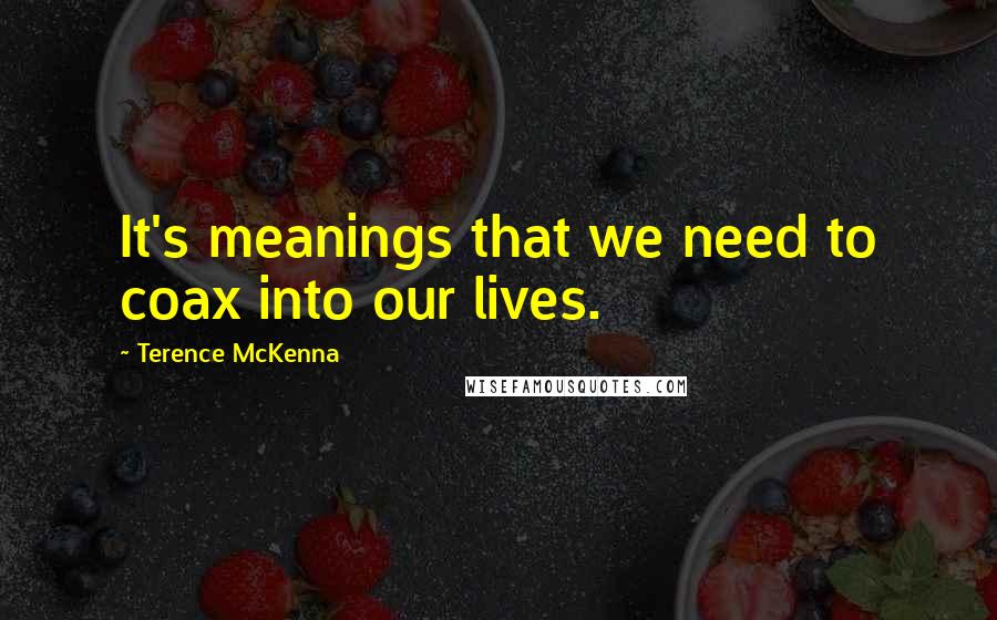 Terence McKenna quotes: It's meanings that we need to coax into our lives.