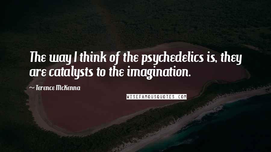 Terence McKenna quotes: The way I think of the psychedelics is, they are catalysts to the imagination.