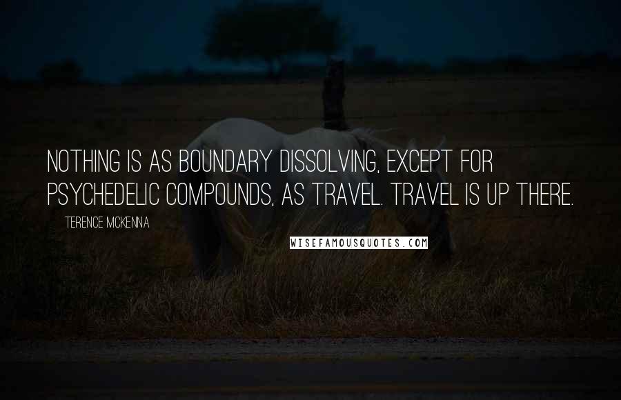 Terence McKenna quotes: Nothing is as boundary dissolving, except for psychedelic compounds, as travel. Travel is up there.