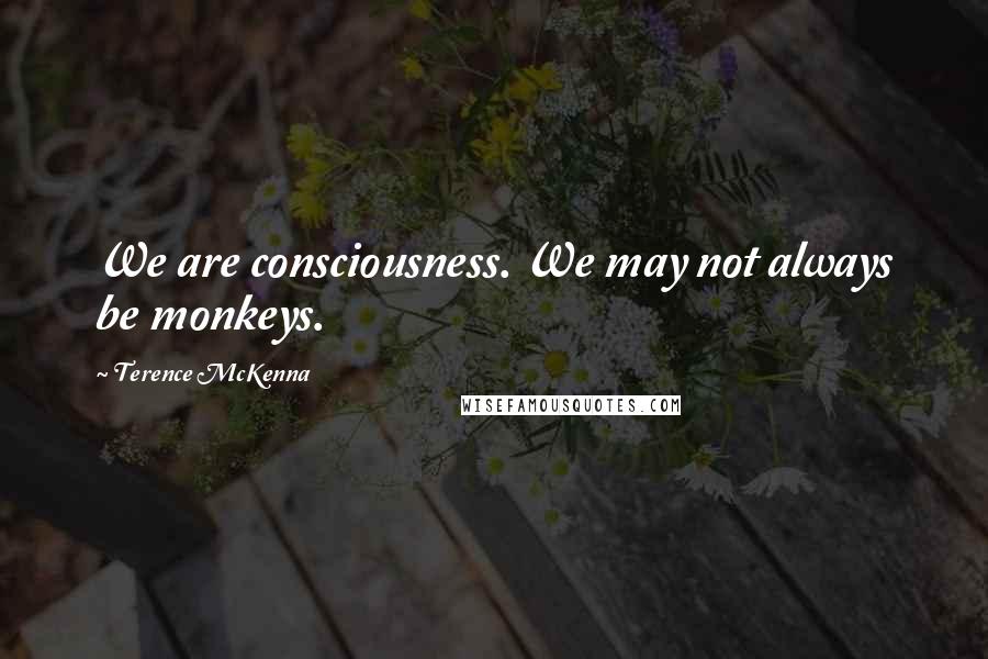 Terence McKenna quotes: We are consciousness. We may not always be monkeys.