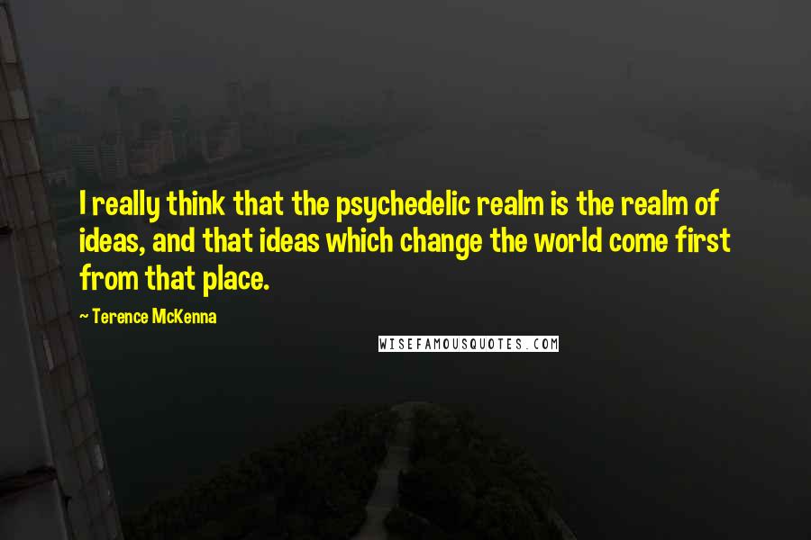 Terence McKenna quotes: I really think that the psychedelic realm is the realm of ideas, and that ideas which change the world come first from that place.