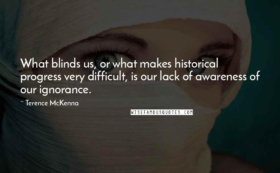 Terence McKenna quotes: What blinds us, or what makes historical progress very difficult, is our lack of awareness of our ignorance.