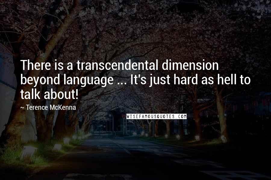 Terence McKenna quotes: There is a transcendental dimension beyond language ... It's just hard as hell to talk about!