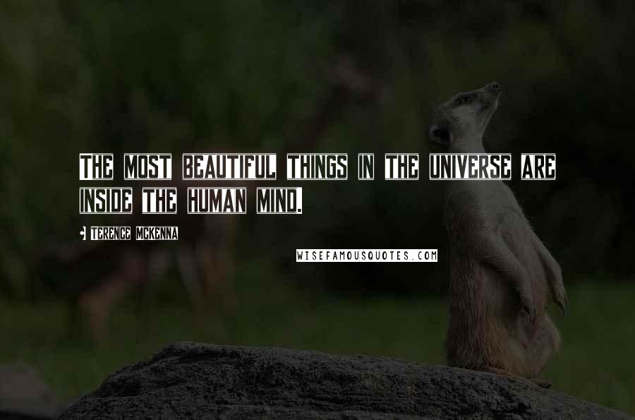 Terence McKenna quotes: The most beautiful things in the universe are inside the human mind.