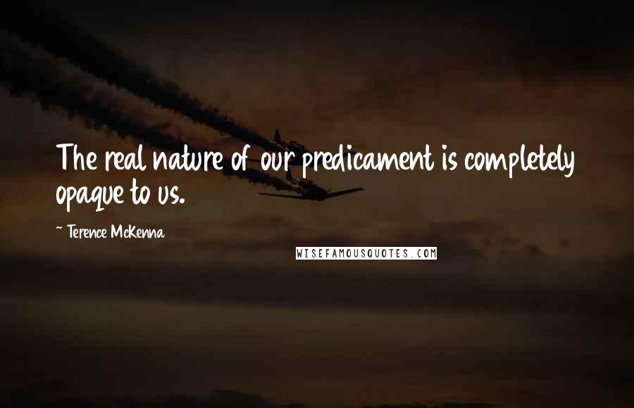 Terence McKenna quotes: The real nature of our predicament is completely opaque to us.