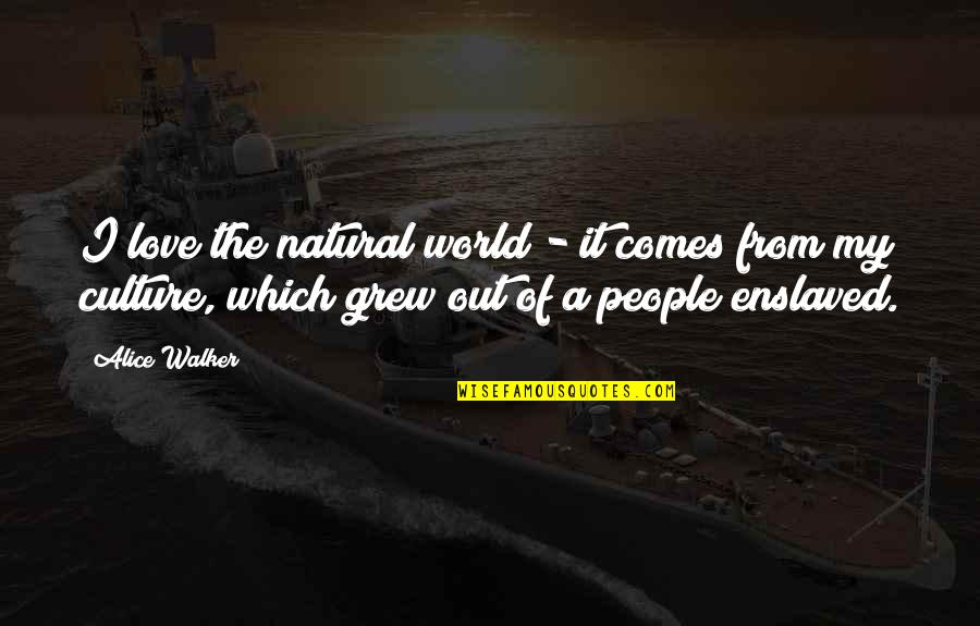 Terences Ackert Quotes By Alice Walker: I love the natural world - it comes Terences Ackert Quotes By Alice Walker: I love the natural world - it comes
