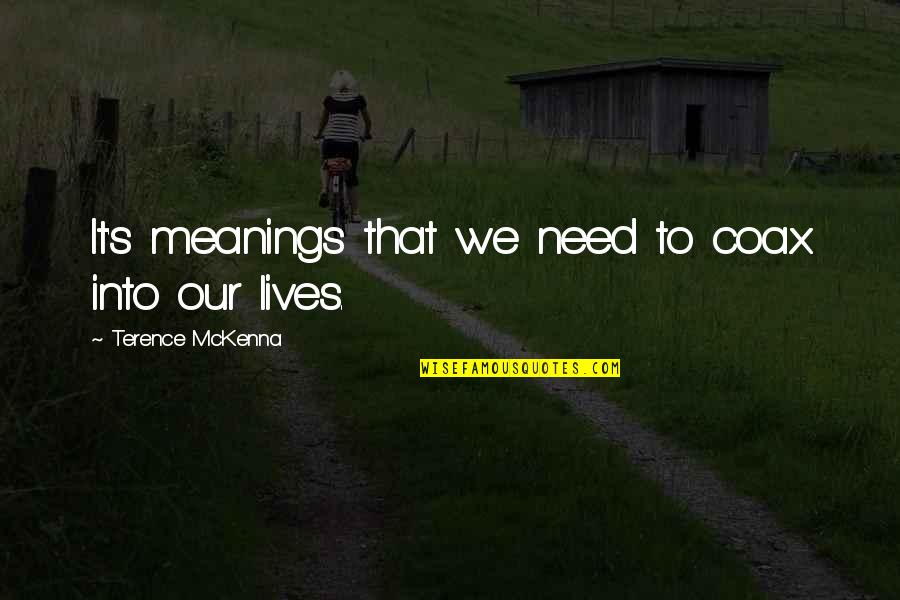 Terence's Quotes By Terence McKenna: It's meanings that we need to coax into Terence's Quotes By Terence McKenna: It's meanings that we need to coax into