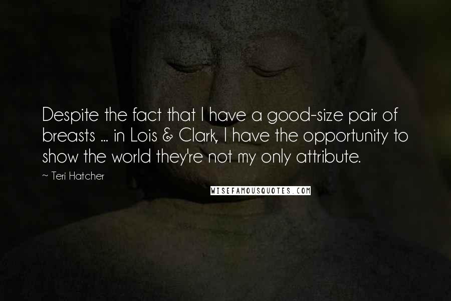 Teri Hatcher quotes: Despite the fact that I have a good-size pair of breasts ... in Lois & Clark, I have the opportunity to show the world they're not my only attribute.