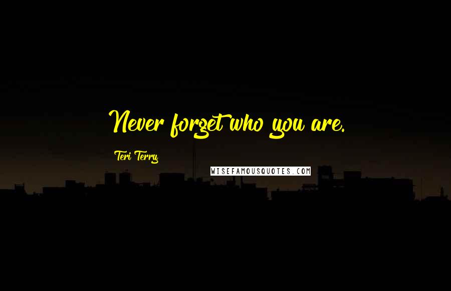 Teri Terry quotes: Never forget who you are.
