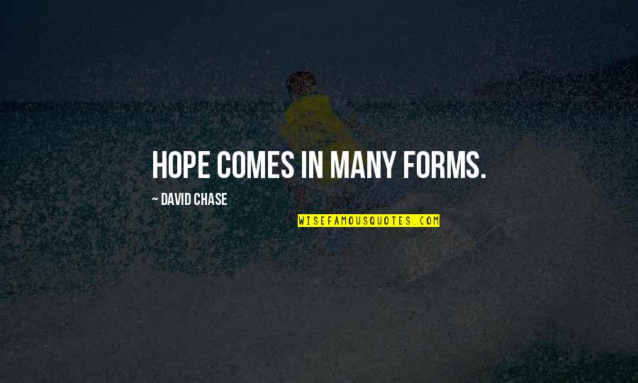 Terianne Moore Quotes By David Chase: Hope comes in many forms. Terianne Moore Quotes By David Chase: Hope comes in many forms.