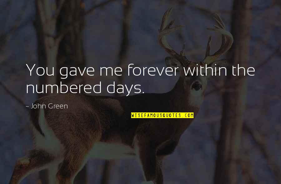 Terihaj Quotes By John Green: You gave me forever within the numbered days. Terihaj Quotes By John Green: You gave me forever within the numbered days.