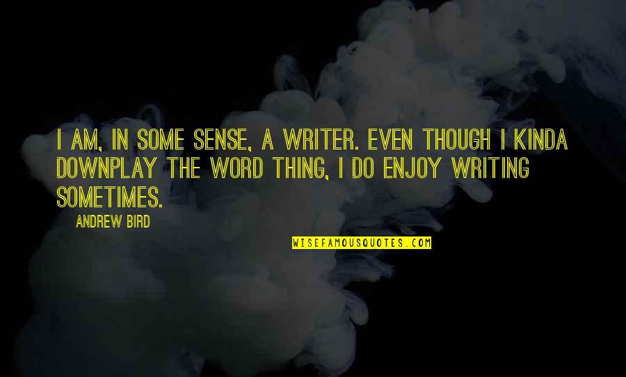 Tering Quotes By Andrew Bird: I am, in some sense, a writer. Even