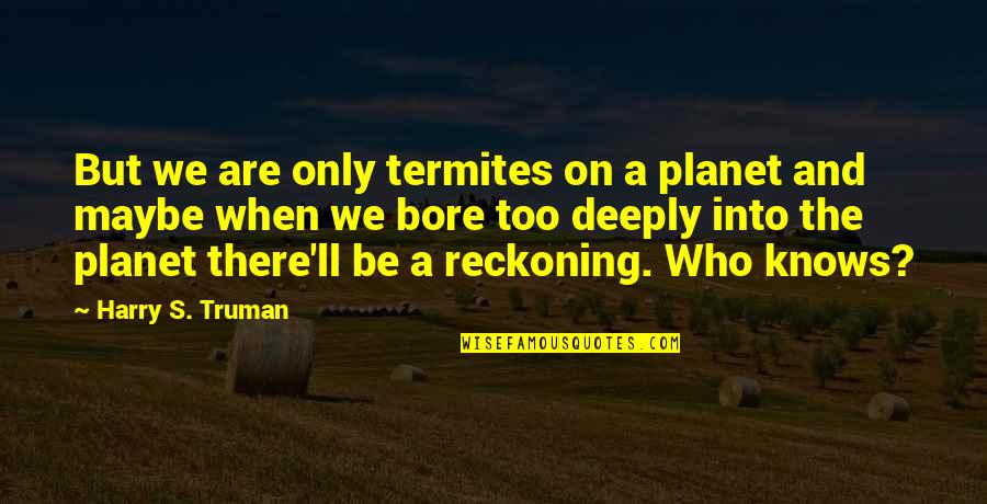 Termites Quotes By Harry S. Truman: But we are only termites on a planet