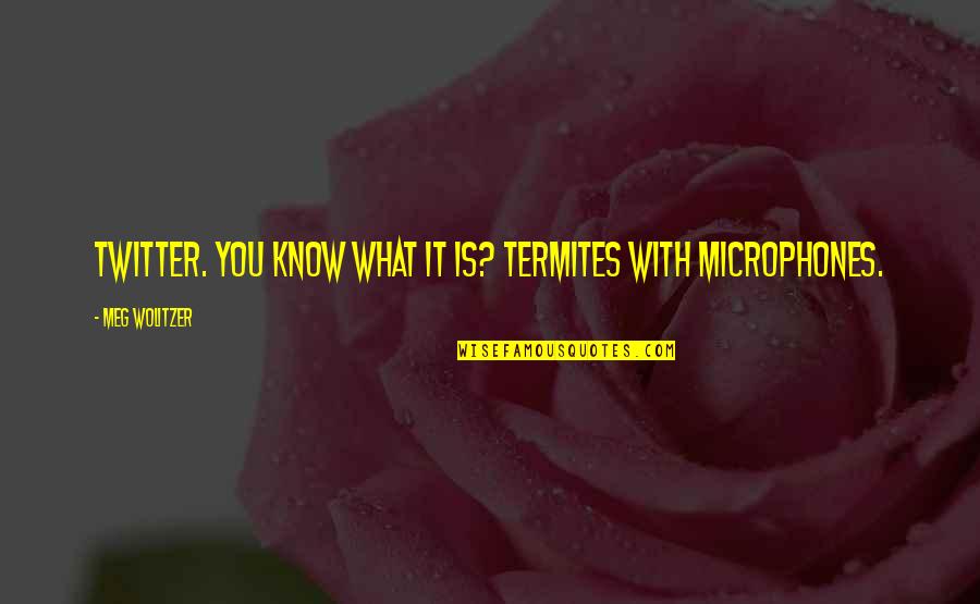 Termites Quotes By Meg Wolitzer: Twitter. You know what it is? Termites with