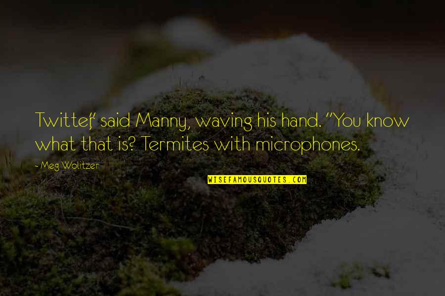 Termites Quotes By Meg Wolitzer: Twitter," said Manny, waving his hand. "You know