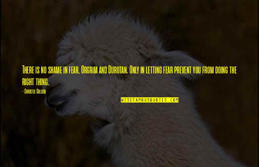 Terpelihara In English Quotes By Christie Golden: There is no shame in fear, Orgrim and Terpelihara In English Quotes By Christie Golden: There is no shame in fear, Orgrim and