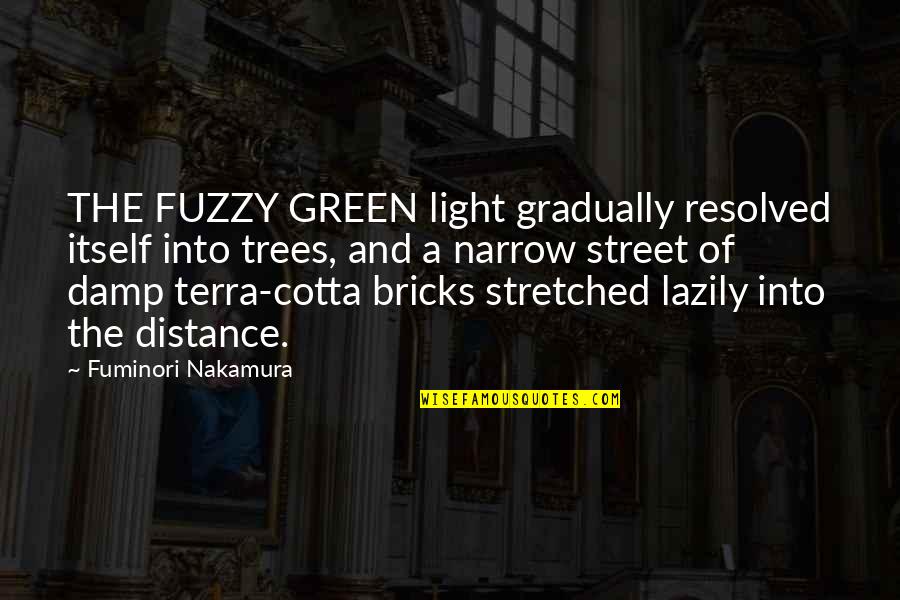 Terra-xehanort Quotes By Fuminori Nakamura: THE FUZZY GREEN light gradually resolved itself into