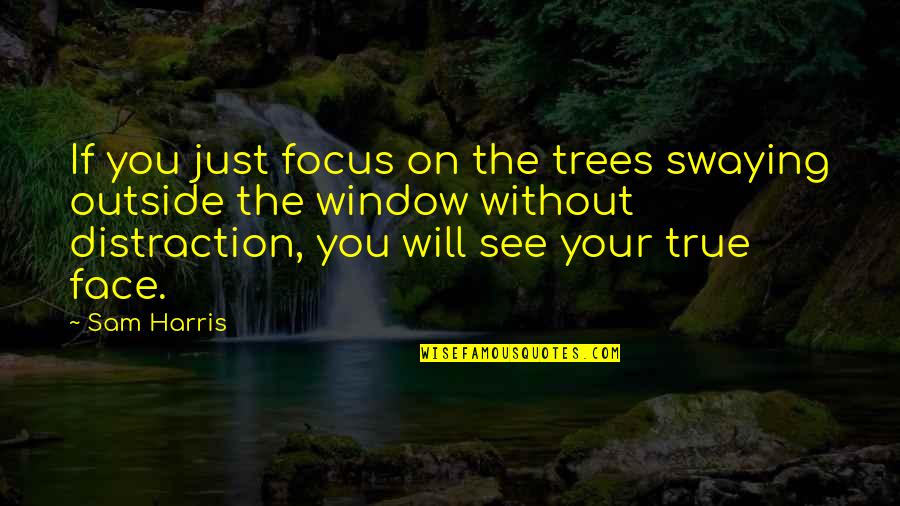 Terrahax Quotes By Sam Harris: If you just focus on the trees swaying Terrahax Quotes By Sam Harris: If you just focus on the trees swaying