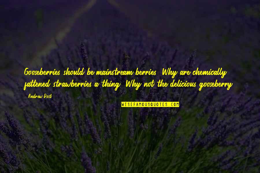 Terreni In Vendita Quotes By Andrew Dost: Gooseberries should be mainstream berries! Why are chemically